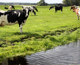 High Fertility Dairy Range